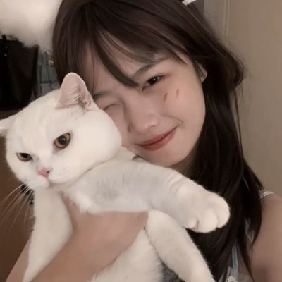 无尽争霸内购破解版下载